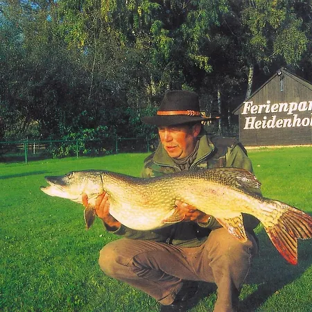 Seepark Heidenholz, Plau Am Plau am See