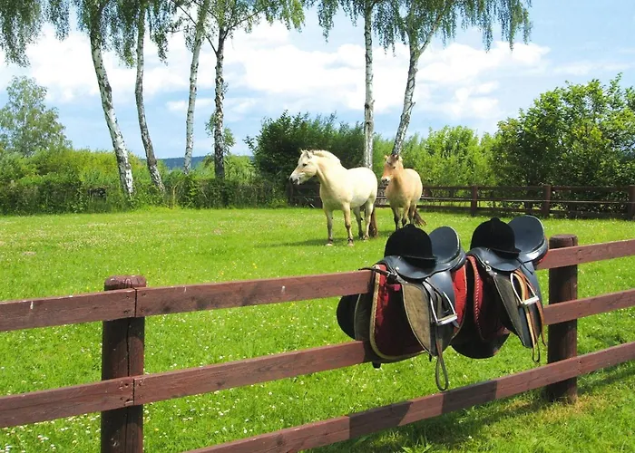 Seepark Heidenholz, Plau Am 펜션 플라우암시