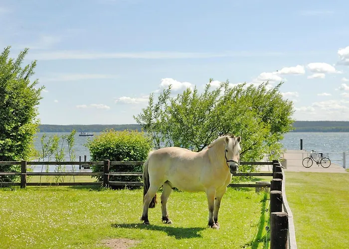 Seepark Heidenholz, Plau Am *